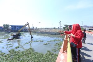 Wali Kota Semarang, Hevearita Gunaryanti Rahayu saat meninjau pengerukan eceng gondok di Kali Banger, Kota Semarang, belum lama ini. (Doc Humas Kota Semarang)