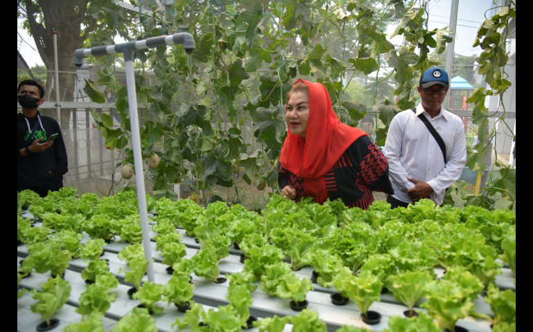 Wali Kota Semarang, Hevearita Gunaryanti Rahayu saat melakukan Kick Off Urban Farming di Sekolah Nusaputera, Jalan Karang Anyar No 574, Gabahan, Semarang Tengah, Rabu (25/10).