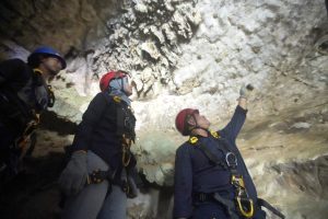 Situs Geopark Bulu Sipong di Kabupaten Pangkep, Sulawesi Selatan, menjadi kawasan konservasi khusus dengan fokus pada perlindungan kawasan karst dan situs cagar budaya, serta perlindungan flora-fauna lokal, endemik dan langka.