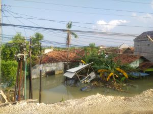 WhatsApp Image 2024-03-20 at 12.06.01