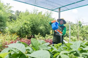 WhatsApp Image 2024-03-21 at 16.43.51