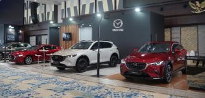 WhatsApp Image 2024-11-01 at 13.23.51