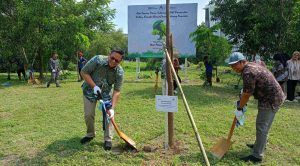 WhatsApp Image 2024-11-21 at 13.22.55