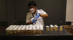 WhatsApp Image 2025-03-13 at 19.26.19