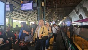 WhatsApp Image 2025-04-16 at 12.51.48