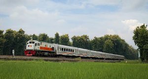 WhatsApp Image 2025-04-28 at 13.03.56