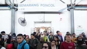 IMG-20250417-WA0047(1)