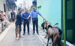 InShot_20250606_104051372