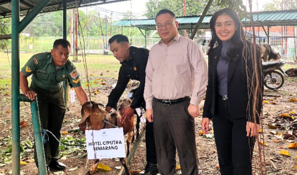 InShot_20250608_140251116