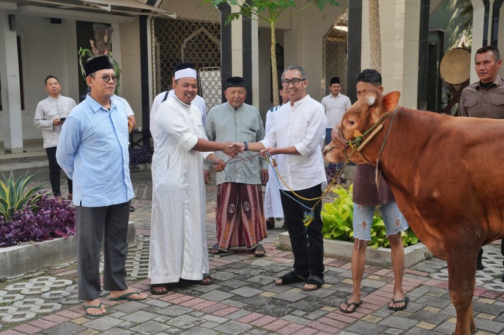 WhatsApp Image 2025-06-07 at 09.45.13