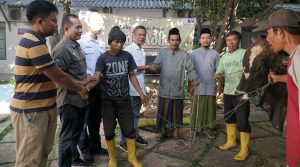 WhatsApp Image 2025-06-08 at 20.13.15