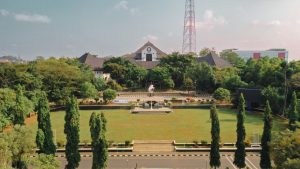 WhatsApp Image 2025-06-19 at 10.57.17