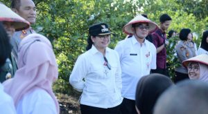 InShot_20250712_235405465