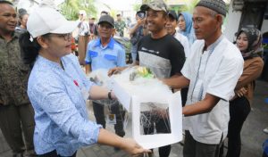 InShot_20250714_190050766