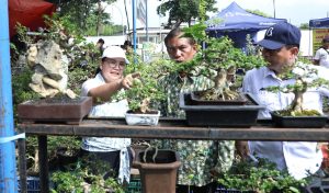 WhatsApp Image 2025-07-08 at 14.24.53