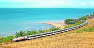 WhatsApp Image 2025-07-12 at 17.20.52