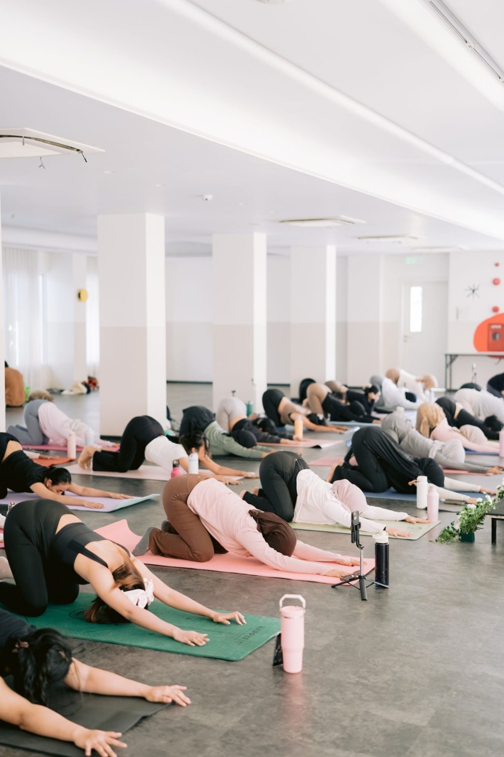 WhatsApp Image 2025-09-23 at 11.38.30 AM