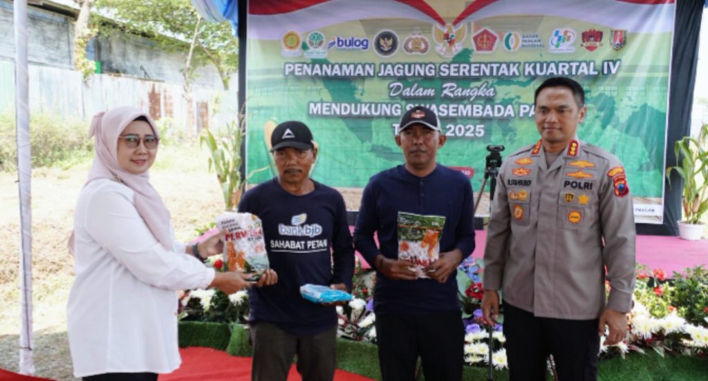 InShot_20251009_005736404