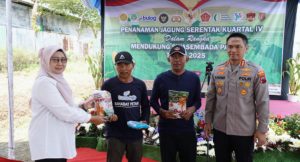 InShot_20251009_005736404