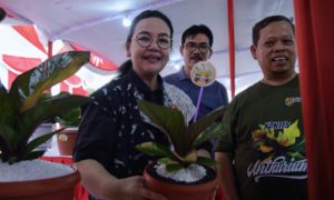 InShot_20251117_053714810