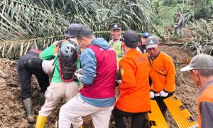 InShot_20251117_195947464