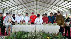 InShot_20260125_230717809