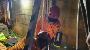 InShot_20260219_194215829