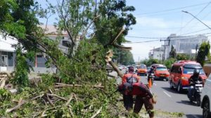 InShot_20260308_233827821