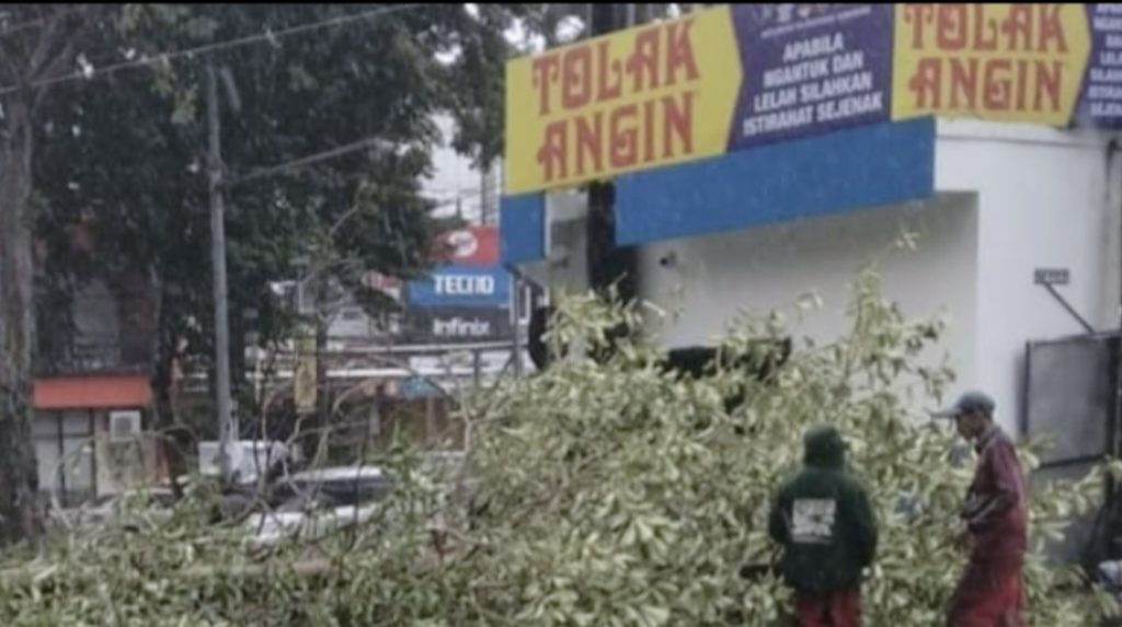 InShot_20260310_225927372