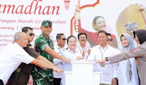 InShot_20260315_232935167