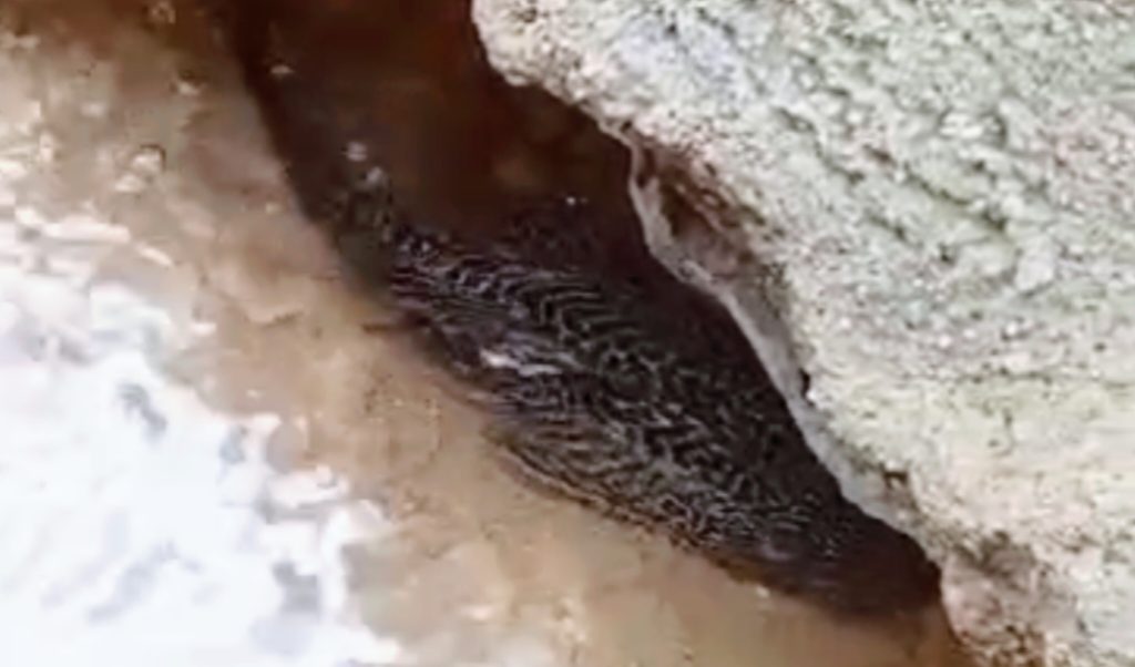 InShot_20260418_220148381