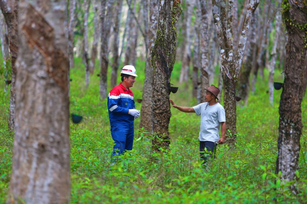 WhatsApp Image 2026-04-09 at 15.25.02 (1)